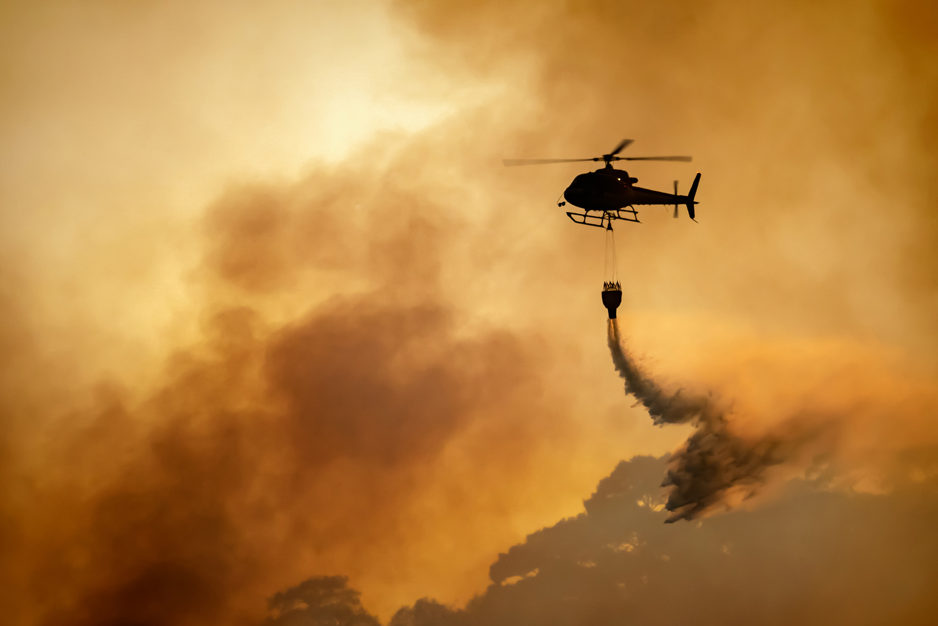 wildfires
